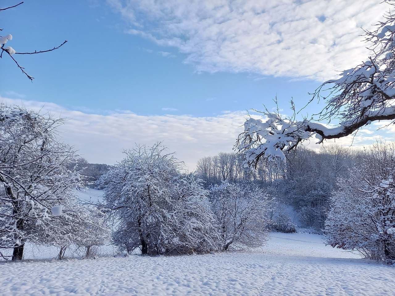 recreational property to rent, 0 m², Markvartice, Královéhradecký Region recreational property to rent, 0 m², Markvartice, Královéhradecký Region