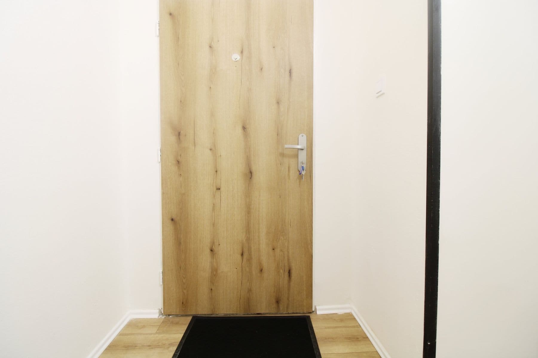 1 bedroom with open-plan kitchen flat to rent, 75 m², Kolínská, Prague, Prague 1 bedroom with open-plan kitchen flat to rent, 75 m², Kolínská, Prague, Prague