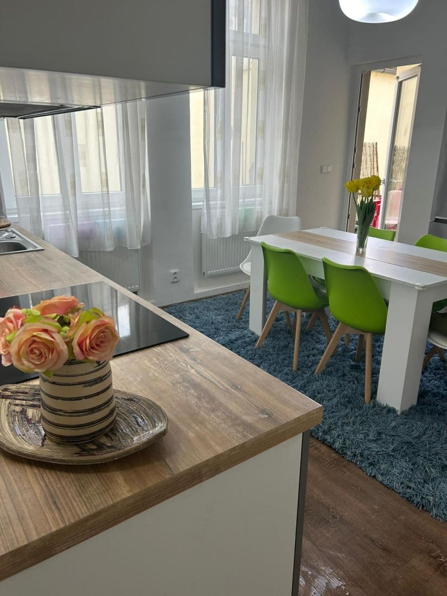 2 bedroom with open-plan kitchen flat to rent, 74 m², Křižíkova, Prague, Prague 2 bedroom with open-plan kitchen flat to rent, 74 m², Křižíkova, Prague, Prague