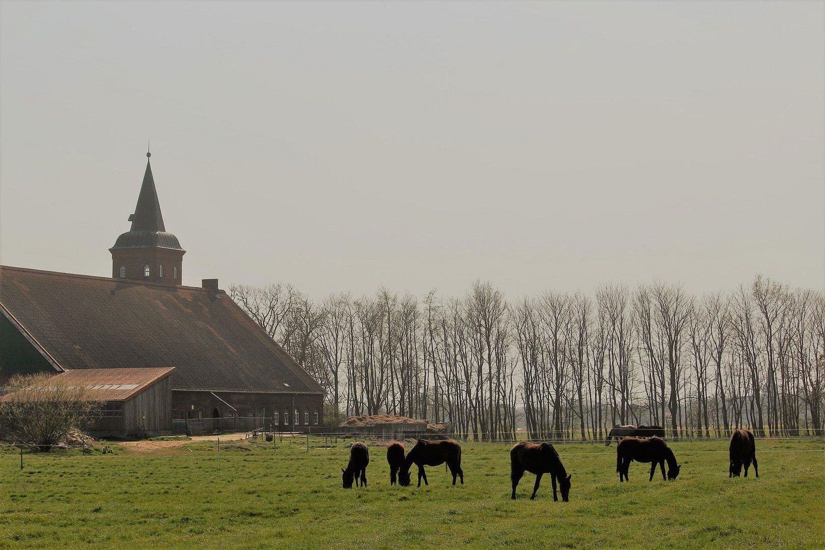 house for sale, 380 m², Domäne Hünkemann 1, Wurster Nordseeküste, Lower Saxony house for sale, 380 m², Domäne Hünkemann 1, Wurster Nordseeküste, Lower Saxony