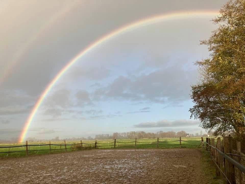 house for sale, 380 m², Domäne Hünkemann 1, Wurster Nordseeküste, Lower Saxony house for sale, 380 m², Domäne Hünkemann 1, Wurster Nordseeküste, Lower Saxony