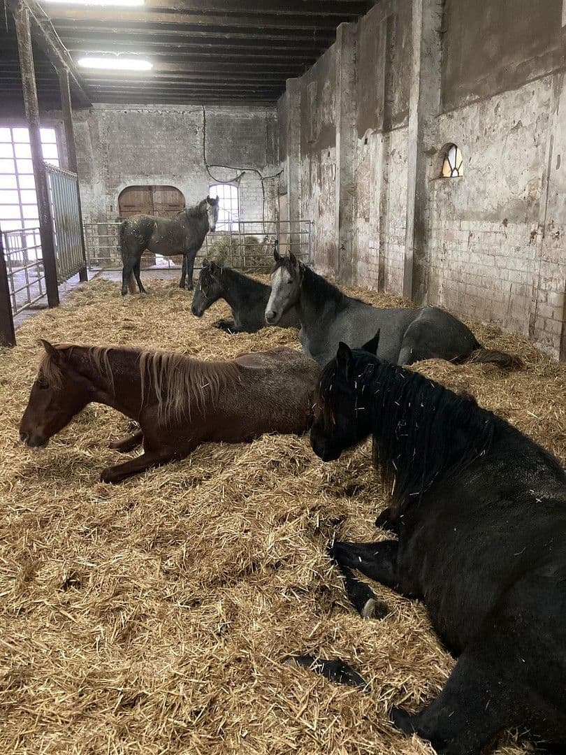 house for sale, 380 m², Domäne Hünkemann 1, Wurster Nordseeküste, Lower Saxony house for sale, 380 m², Domäne Hünkemann 1, Wurster Nordseeküste, Lower Saxony