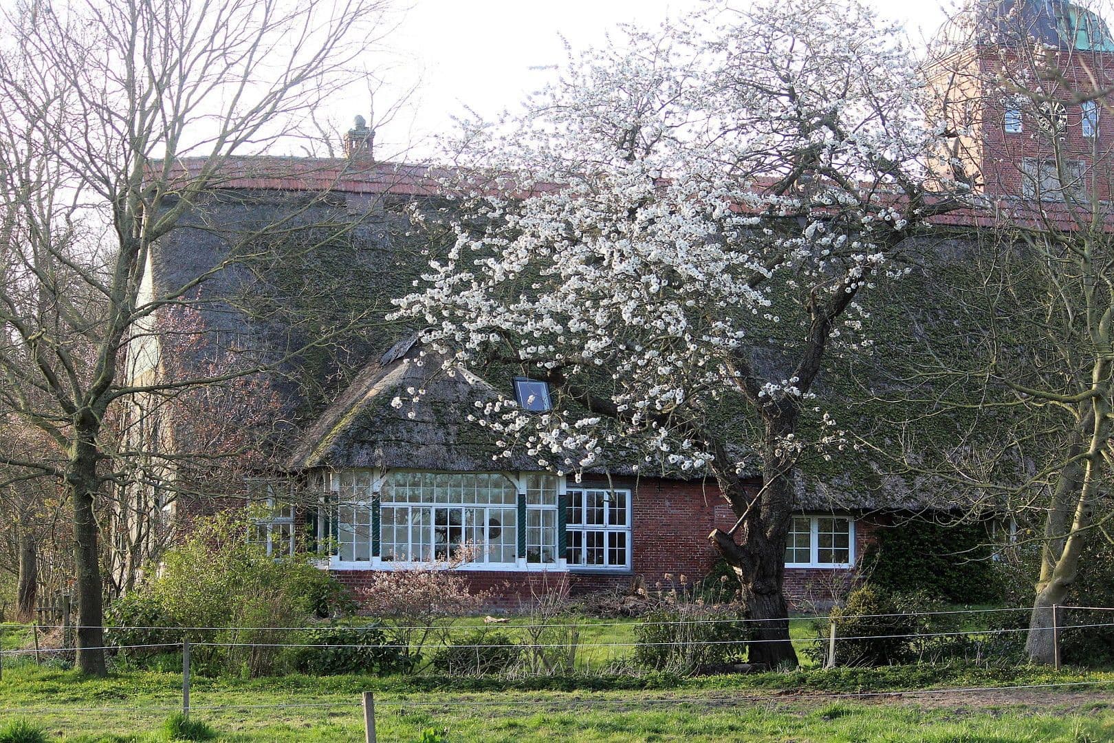 house for sale, 380 m², Domäne Hünkemann 1, Wurster Nordseeküste, Lower Saxony house for sale, 380 m², Domäne Hünkemann 1, Wurster Nordseeküste, Lower Saxony