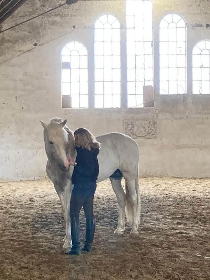 house for sale, 380 m², Domäne Hünkemann 1, Wurster Nordseeküste, Lower Saxony house for sale, 380 m², Domäne Hünkemann 1, Wurster Nordseeküste, Lower Saxony