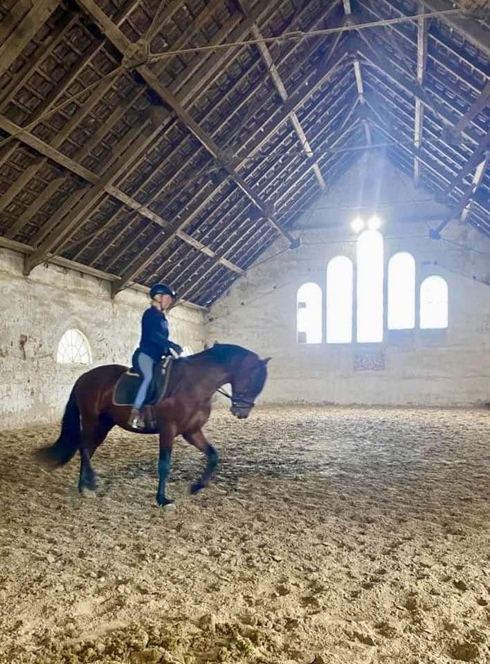 house for sale, 380 m², Domäne Hünkemann 1, Wurster Nordseeküste, Lower Saxony house for sale, 380 m², Domäne Hünkemann 1, Wurster Nordseeküste, Lower Saxony