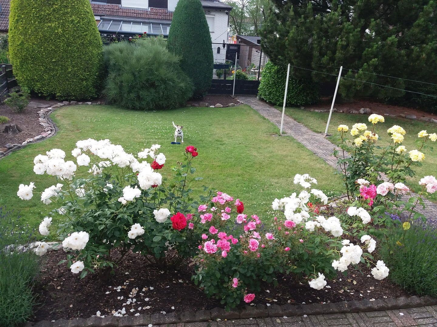 house for sale, 105 m², Alsdorf, North Rhine-Westphalia house for sale, 105 m², Alsdorf, North Rhine-Westphalia