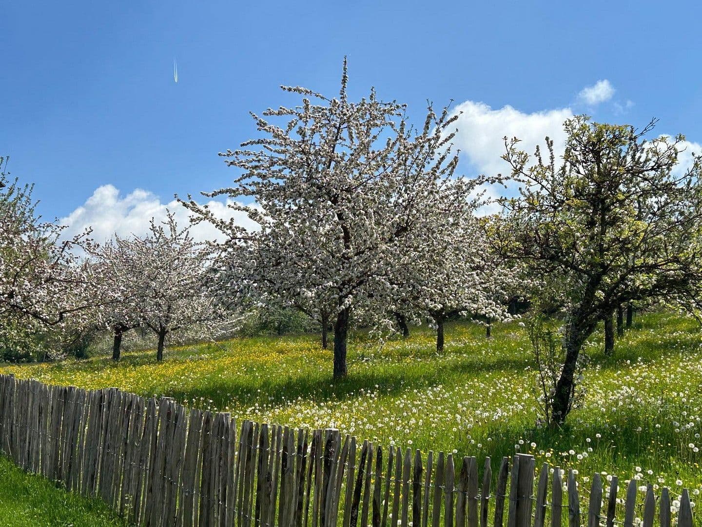 house for sale, 220 m², Stühlingen, Baden-Württemberg house for sale, 220 m², Stühlingen, Baden-Württemberg