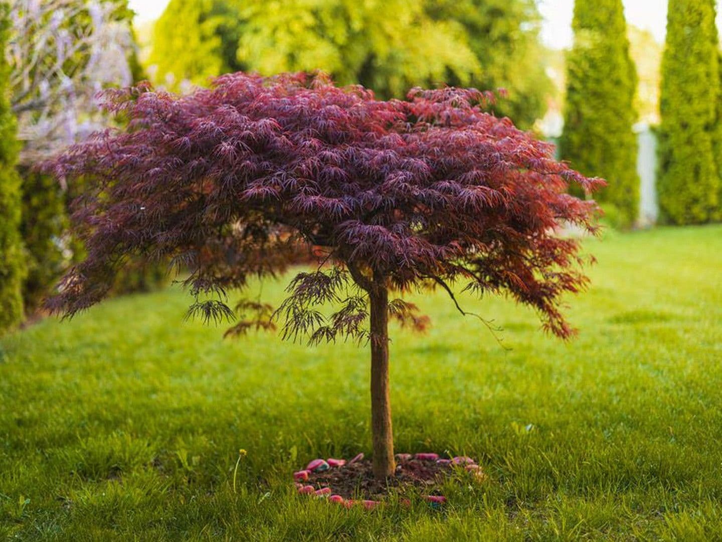 house for sale, 131 m², Höpenweg 9, Seevetal, Lower Saxony house for sale, 131 m², Höpenweg 9, Seevetal, Lower Saxony