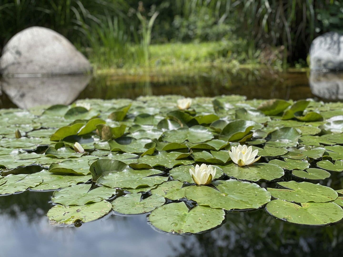 house for sale, 315 m², Chieming, Bavaria house for sale, 315 m², Chieming, Bavaria