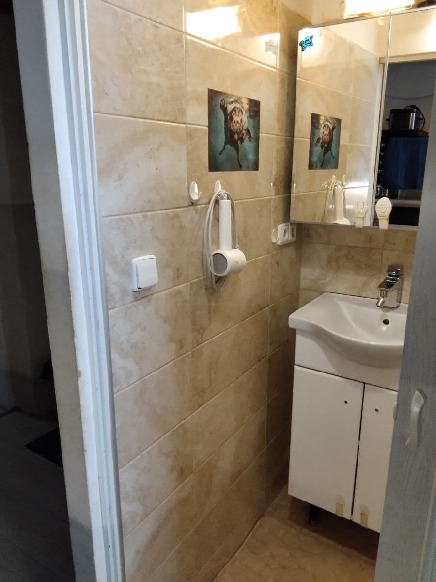 1 bedroom with open-plan kitchen flat for sale, 52 m², Charbulova, Brno, Jihomoravský Region 1 bedroom with open-plan kitchen flat for sale, 52 m², Charbulova, Brno, Jihomoravský Region