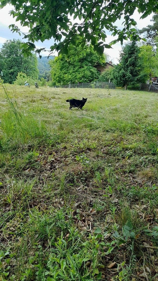 plot for sale, 1,016 m², Unterfahrenbach, Styria plot for sale, 1,016 m², Unterfahrenbach, Styria