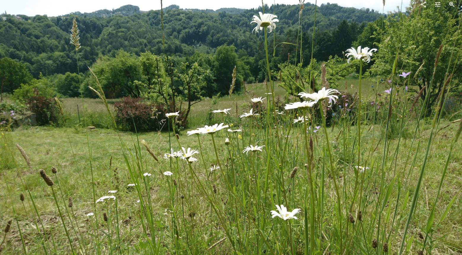 plot for sale, 1,016 m², Unterfahrenbach, Styria plot for sale, 1,016 m², Unterfahrenbach, Styria