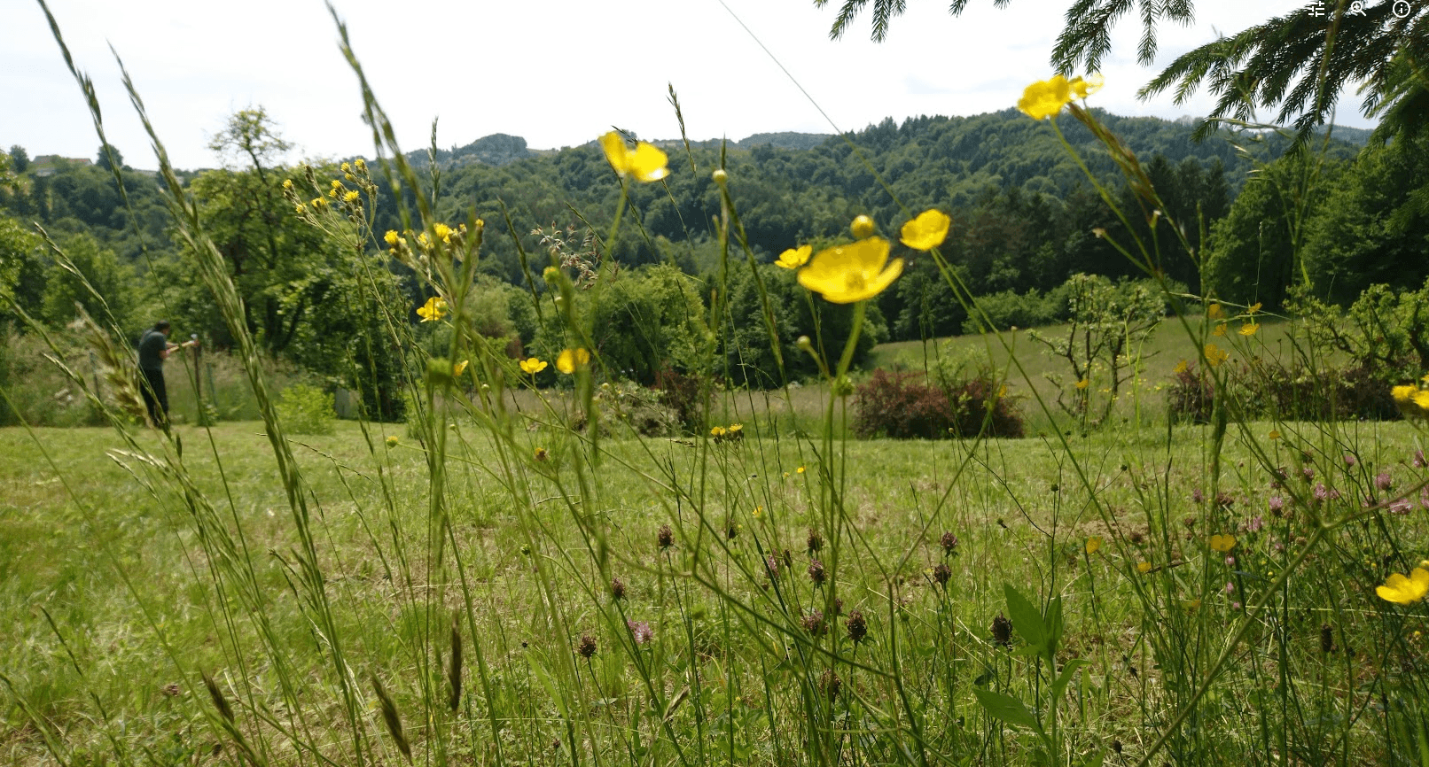 plot for sale, 1,016 m², Unterfahrenbach, Styria plot for sale, 1,016 m², Unterfahrenbach, Styria