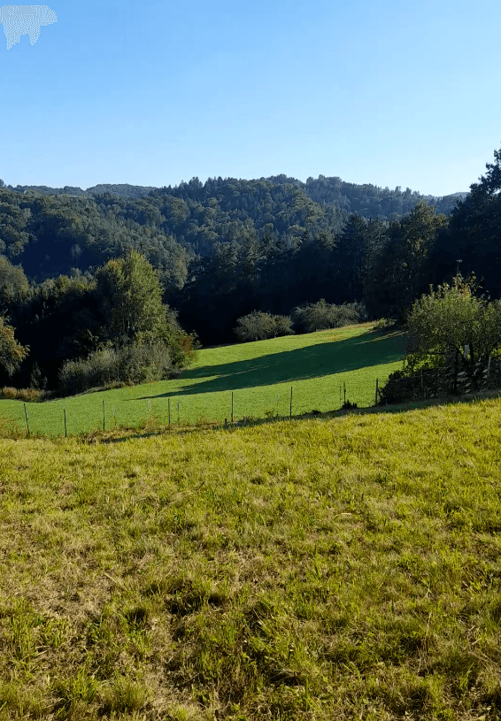 plot for sale, 1,016 m², Unterfahrenbach, Styria plot for sale, 1,016 m², Unterfahrenbach, Styria