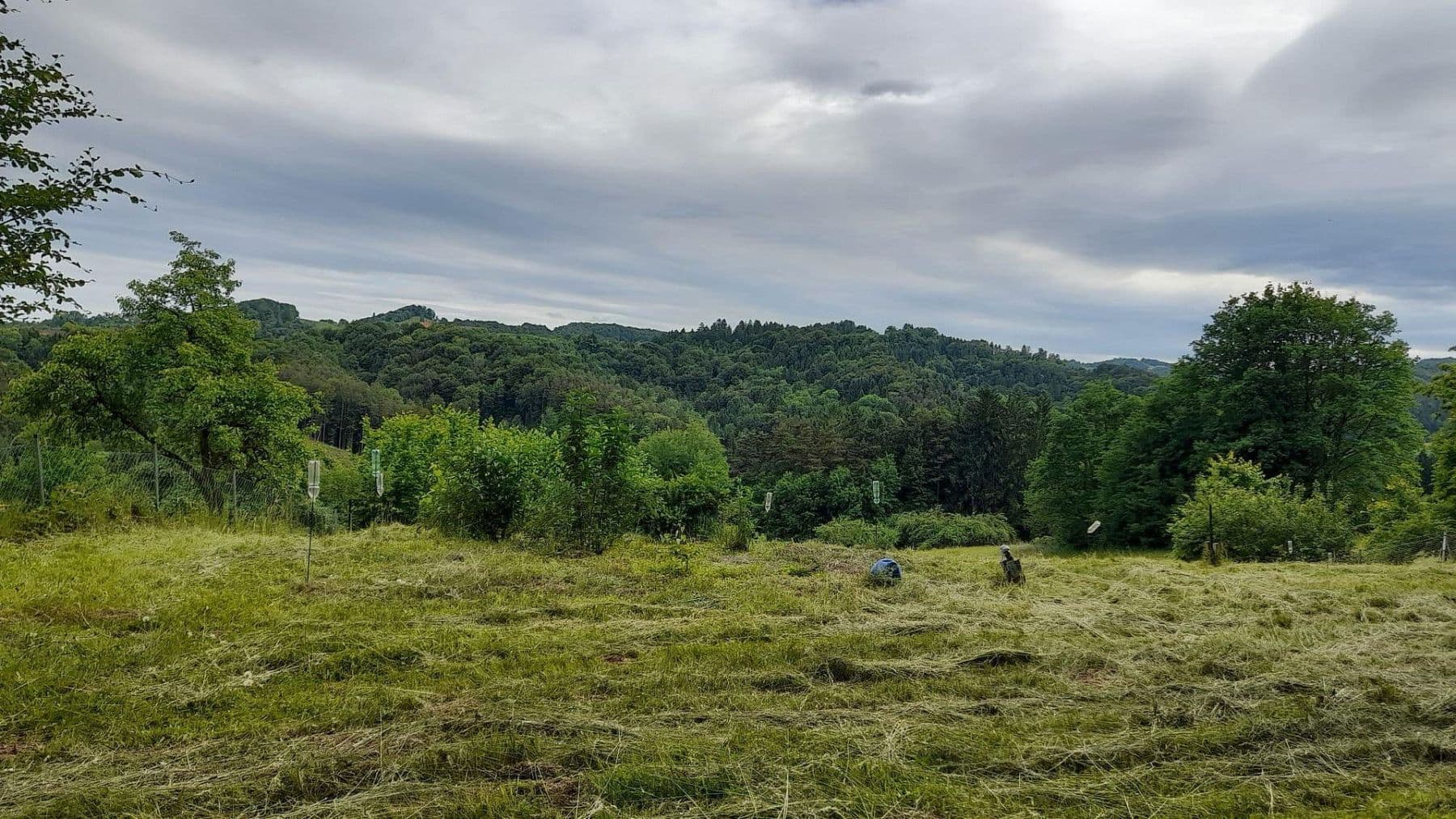 plot for sale, 1,016 m², Unterfahrenbach, Styria plot for sale, 1,016 m², Unterfahrenbach, Styria