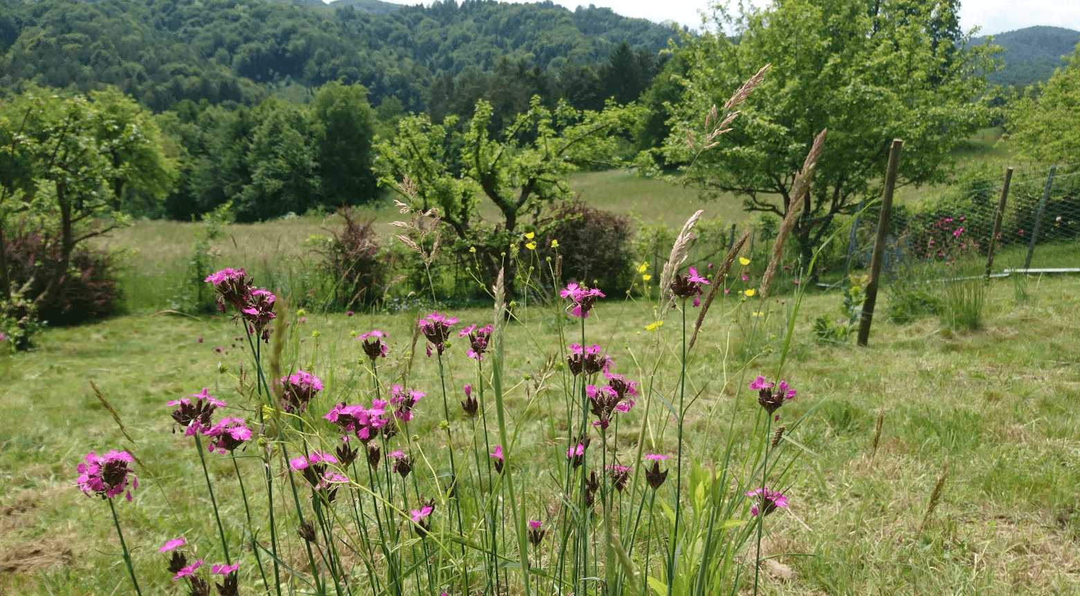 plot for sale, 1,016 m², Unterfahrenbach, Styria plot for sale, 1,016 m², Unterfahrenbach, Styria