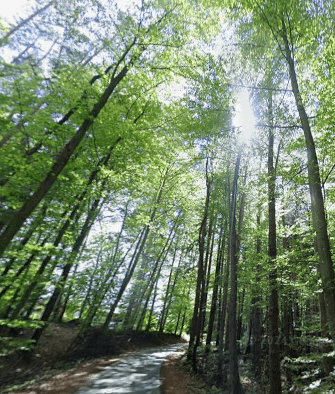 plot for sale, 1,016 m², Unterfahrenbach, Styria plot for sale, 1,016 m², Unterfahrenbach, Styria