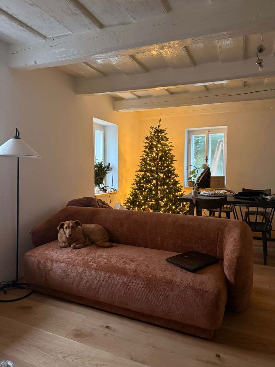 recreational property to rent, 0 m², Meziměstí, Královéhradecký Region recreational property to rent, 0 m², Meziměstí, Královéhradecký Region