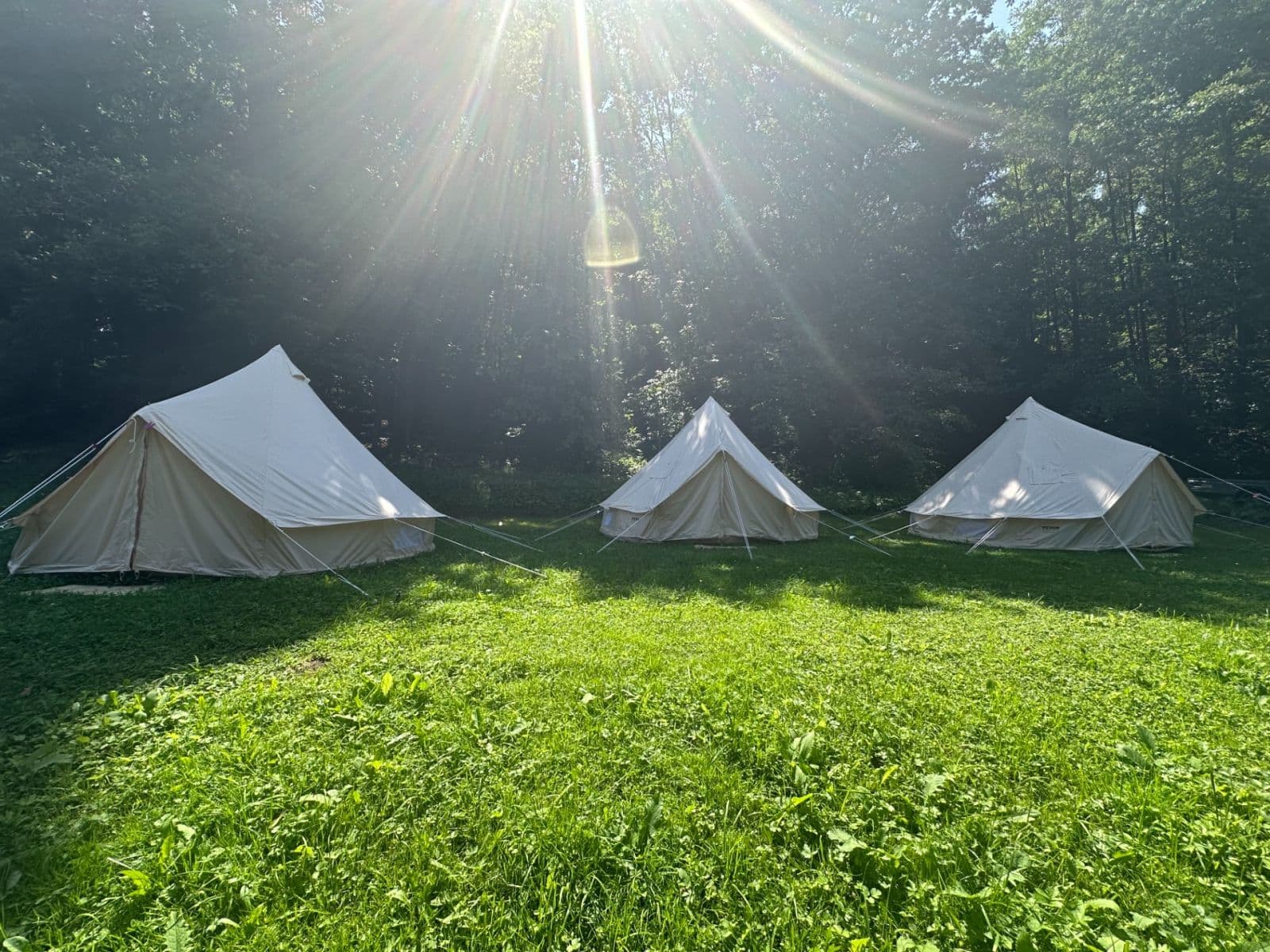 recreational property to rent, 1,504 m², Libuň, Královéhradecký Region recreational property to rent, 1,504 m², Libuň, Královéhradecký Region