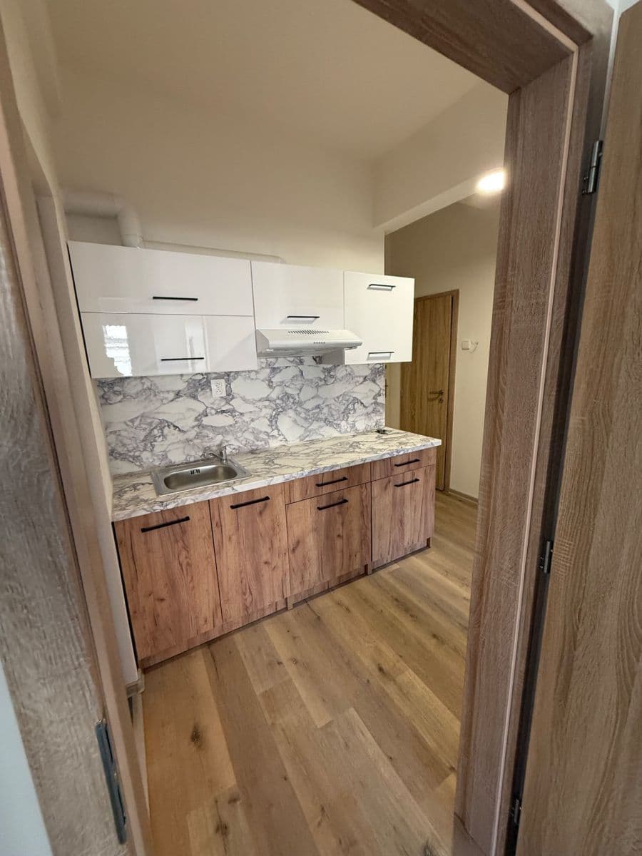 1 bedroom with open-plan kitchen flat to rent, 54 m², Komunardů, Prague, Prague 1 bedroom with open-plan kitchen flat to rent, 54 m², Komunardů, Prague, Prague