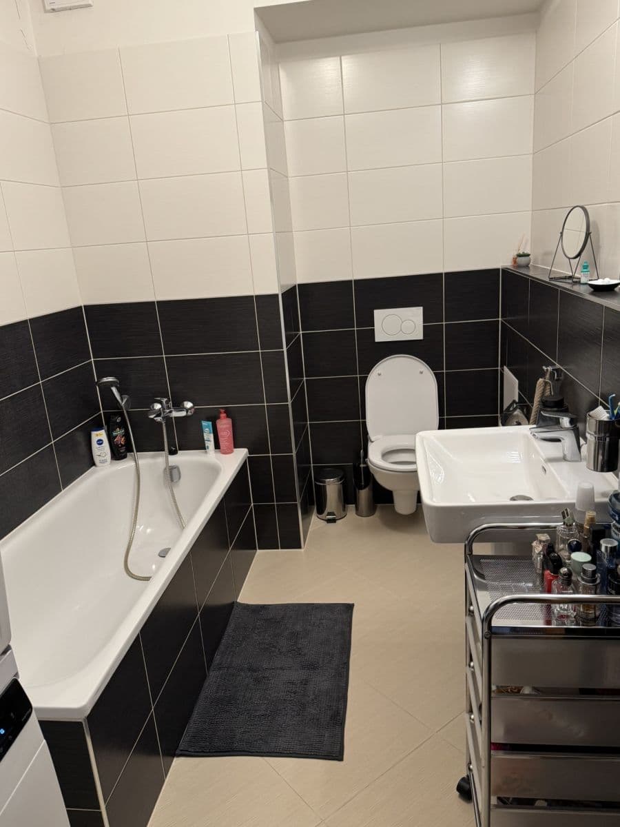 1 bedroom with open-plan kitchen flat to rent, 51 m², Zakšínská, Prague, Prague 1 bedroom with open-plan kitchen flat to rent, 51 m², Zakšínská, Prague, Prague