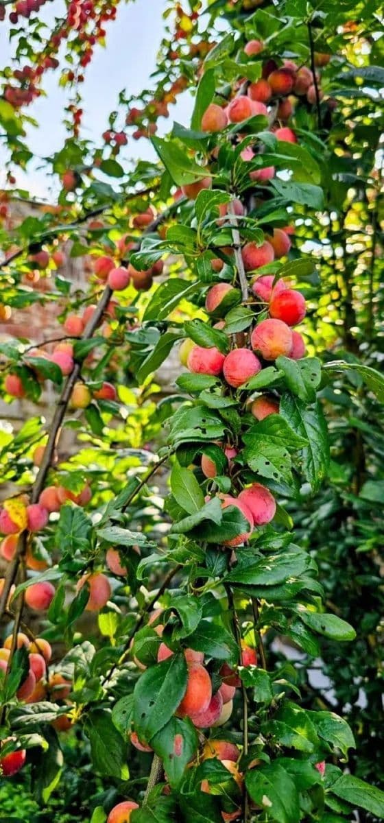 house for sale, 398 m², Hředle, Středočeský Region house for sale, 398 m², Hředle, Středočeský Region