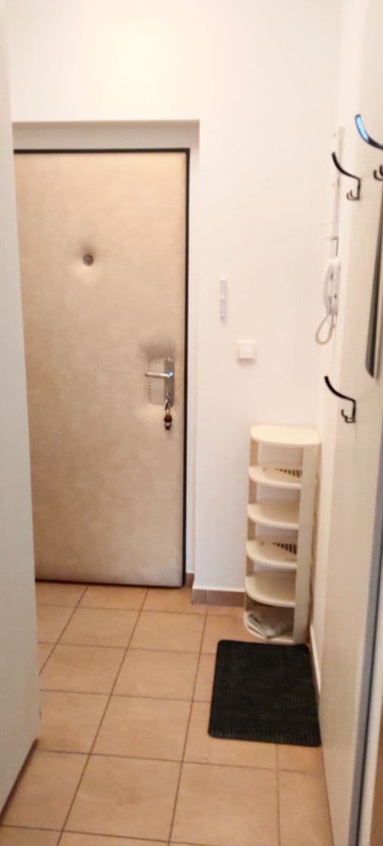 1 bedroom with open-plan kitchen flat for sale, 39 m², U potoka, Jinočany, Středočeský Region 1 bedroom with open-plan kitchen flat for sale, 39 m², U potoka, Jinočany, Středočeský Region