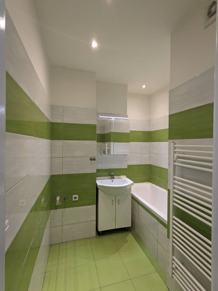 1 bedroom with open-plan kitchen flat to rent, 46 m², Donská, Prague, Prague 1 bedroom with open-plan kitchen flat to rent, 46 m², Donská, Prague, Prague