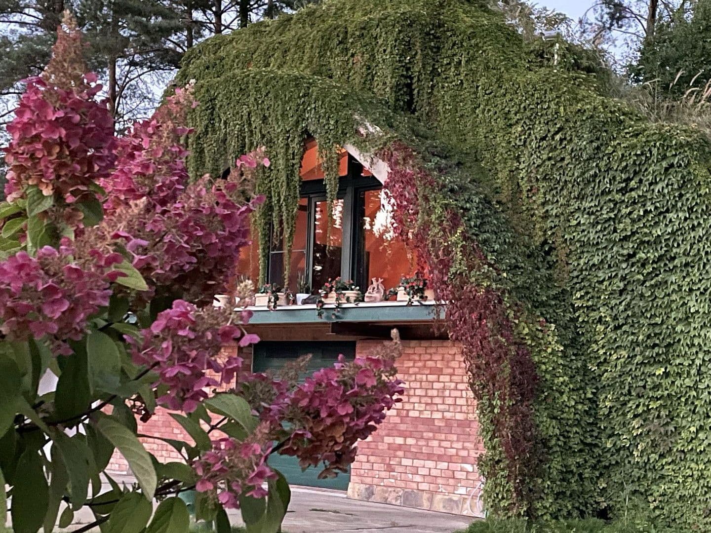 house for sale, 29,000 m², Lindenstraße 15, Neuhardenberg, Brandenburg house for sale, 29,000 m², Lindenstraße 15, Neuhardenberg, Brandenburg