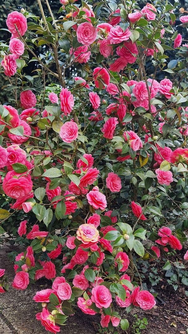 3 bedroom flat for sale, 95 m², Frankfurt, Hesse 3 bedroom flat for sale, 95 m², Frankfurt, Hesse