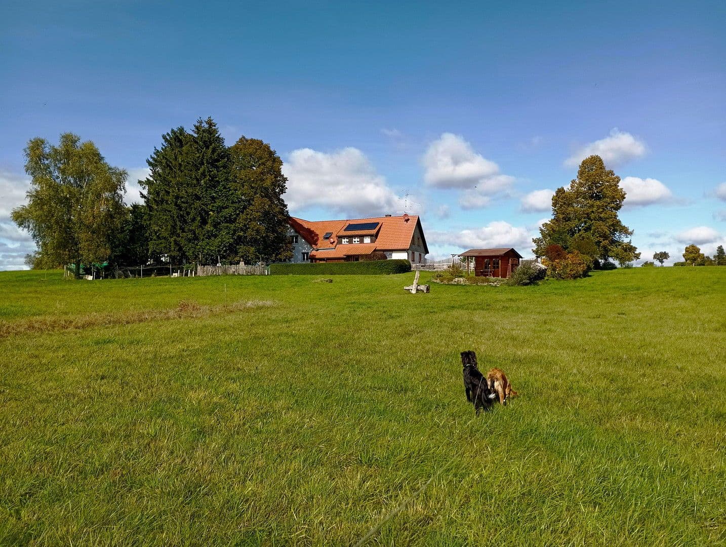 house for sale, 390 m², Friedenweiler, Baden-Württemberg house for sale, 390 m², Friedenweiler, Baden-Württemberg