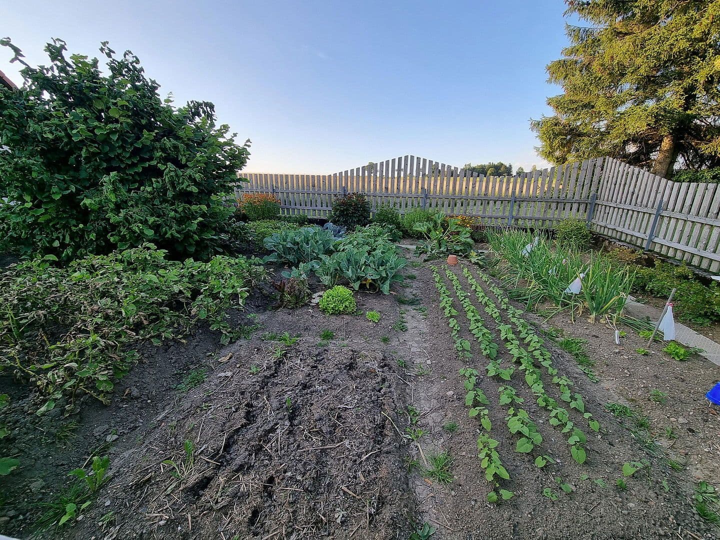 house for sale, 390 m², Friedenweiler, Baden-Württemberg house for sale, 390 m², Friedenweiler, Baden-Württemberg