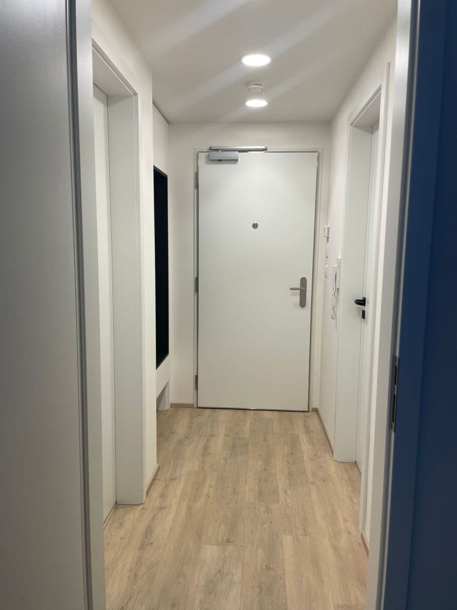 1 bedroom with open-plan kitchen flat to rent, 57 m², Poděbradská, Prague, Prague 1 bedroom with open-plan kitchen flat to rent, 57 m², Poděbradská, Prague, Prague