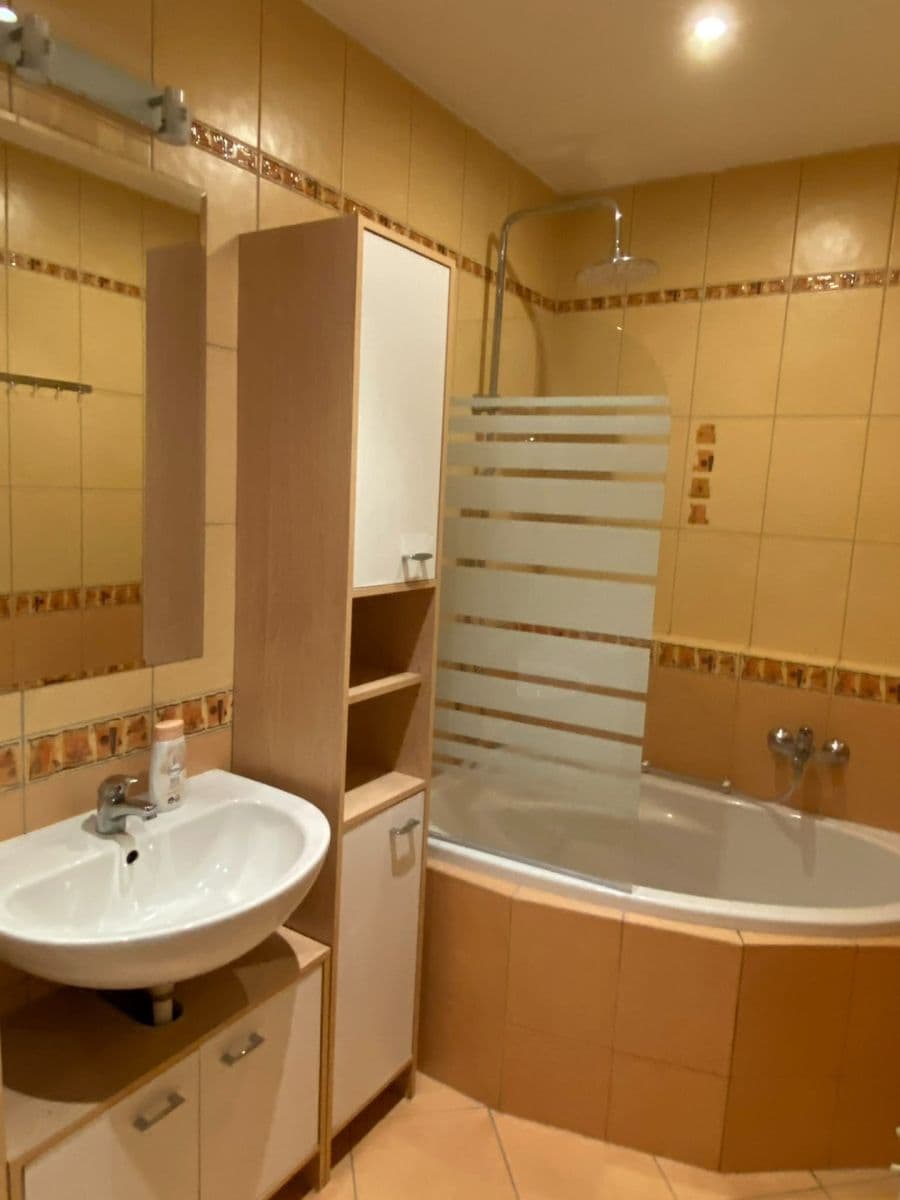 1 bedroom with open-plan kitchen flat to rent, 59 m², Mattioliho, Prague, Prague 1 bedroom with open-plan kitchen flat to rent, 59 m², Mattioliho, Prague, Prague