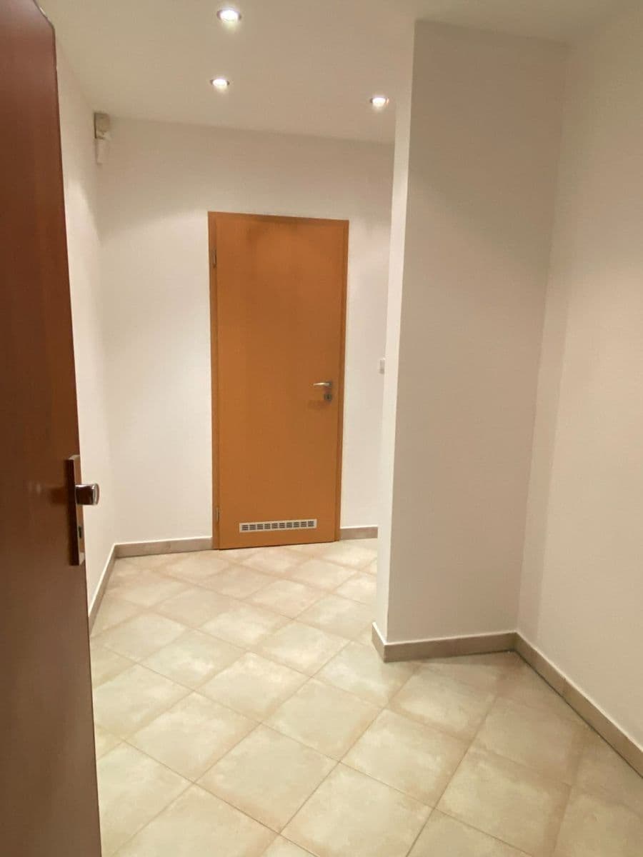 1 bedroom with open-plan kitchen flat to rent, 59 m², Mattioliho, Prague, Prague 1 bedroom with open-plan kitchen flat to rent, 59 m², Mattioliho, Prague, Prague