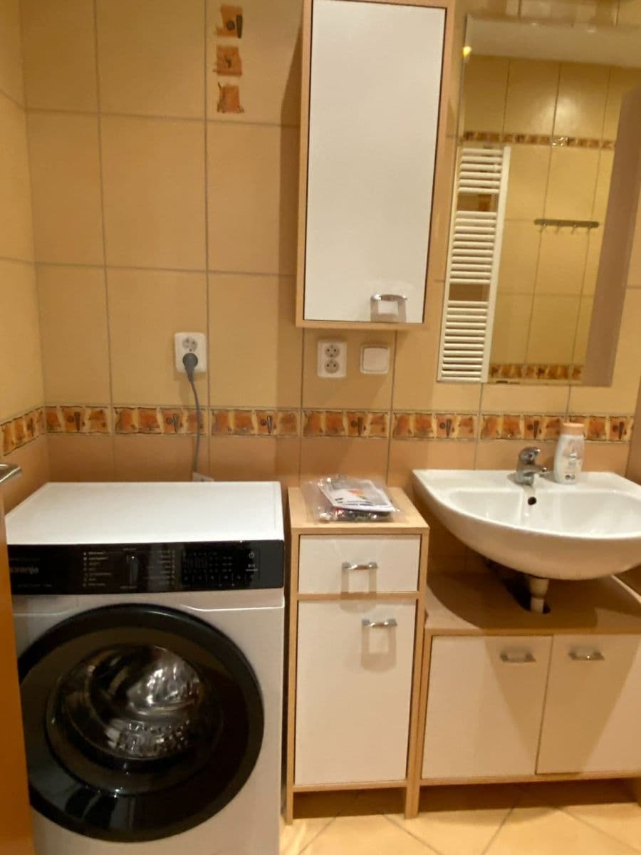 1 bedroom with open-plan kitchen flat to rent, 59 m², Mattioliho, Prague, Prague 1 bedroom with open-plan kitchen flat to rent, 59 m², Mattioliho, Prague, Prague