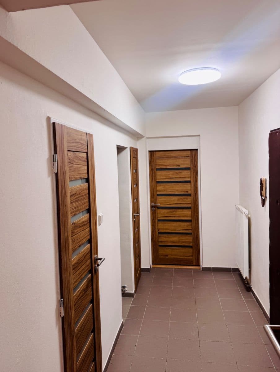 1 bedroom with open-plan kitchen flat to rent, 55 m², Na Jezerce, Prague, Prague 1 bedroom with open-plan kitchen flat to rent, 55 m², Na Jezerce, Prague, Prague