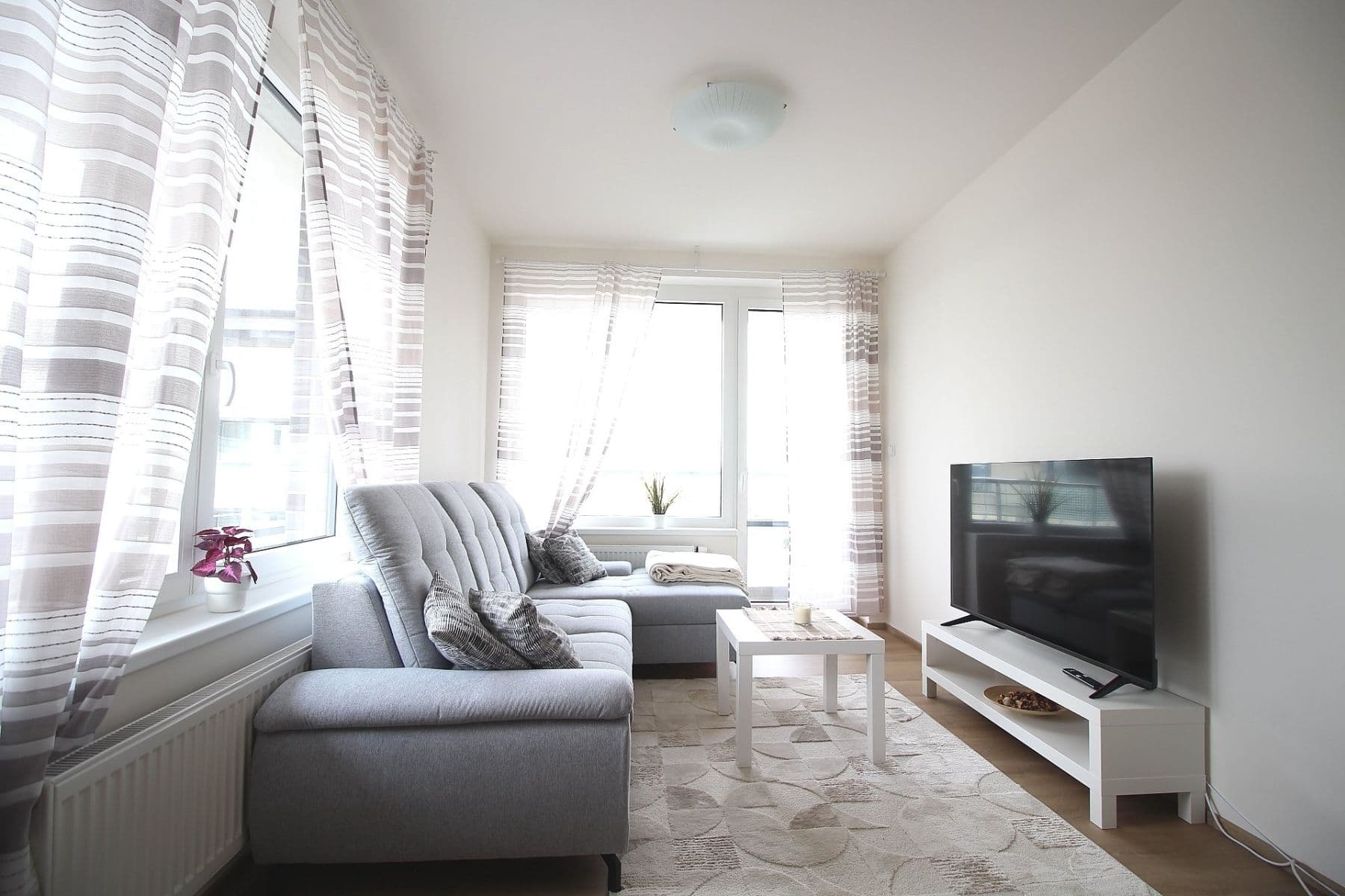 1 bedroom with open-plan kitchen flat to rent, 47 m², Thomasova, Prague, Prague 1 bedroom with open-plan kitchen flat to rent, 47 m², Thomasova, Prague, Prague