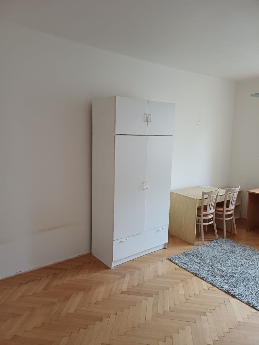 1 bedroom with open-plan kitchen flat to rent, 49 m², Ostrovského, Prague, Prague 1 bedroom with open-plan kitchen flat to rent, 49 m², Ostrovského, Prague, Prague