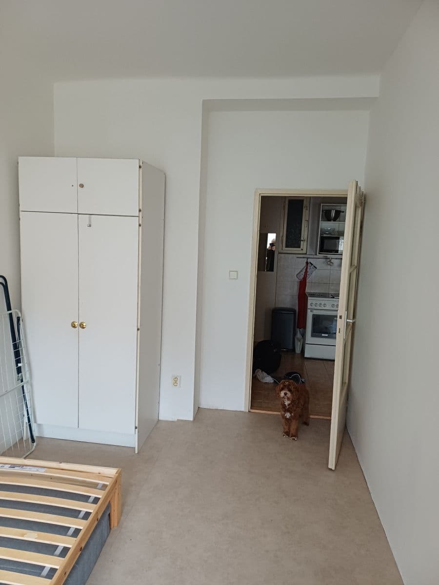 1 bedroom with open-plan kitchen flat to rent, 49 m², Ostrovského, Prague, Prague 1 bedroom with open-plan kitchen flat to rent, 49 m², Ostrovského, Prague, Prague