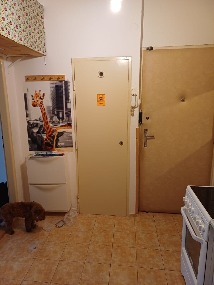 1 bedroom with open-plan kitchen flat to rent, 49 m², Ostrovského, Prague, Prague 1 bedroom with open-plan kitchen flat to rent, 49 m², Ostrovského, Prague, Prague