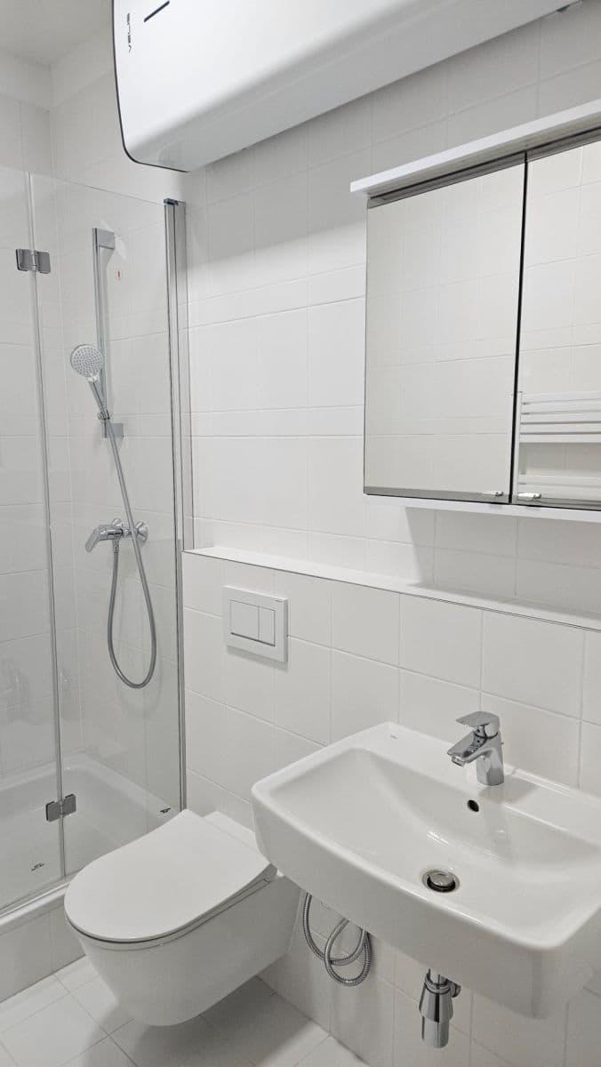 1 bedroom with open-plan kitchen flat to rent, 52 m², Ukrajinská, Prague, Prague 1 bedroom with open-plan kitchen flat to rent, 52 m², Ukrajinská, Prague, Prague