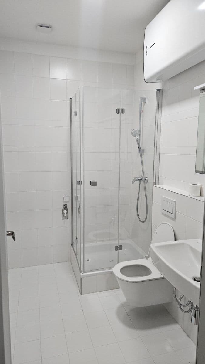 1 bedroom with open-plan kitchen flat to rent, 52 m², Ukrajinská, Prague, Prague 1 bedroom with open-plan kitchen flat to rent, 52 m², Ukrajinská, Prague, Prague