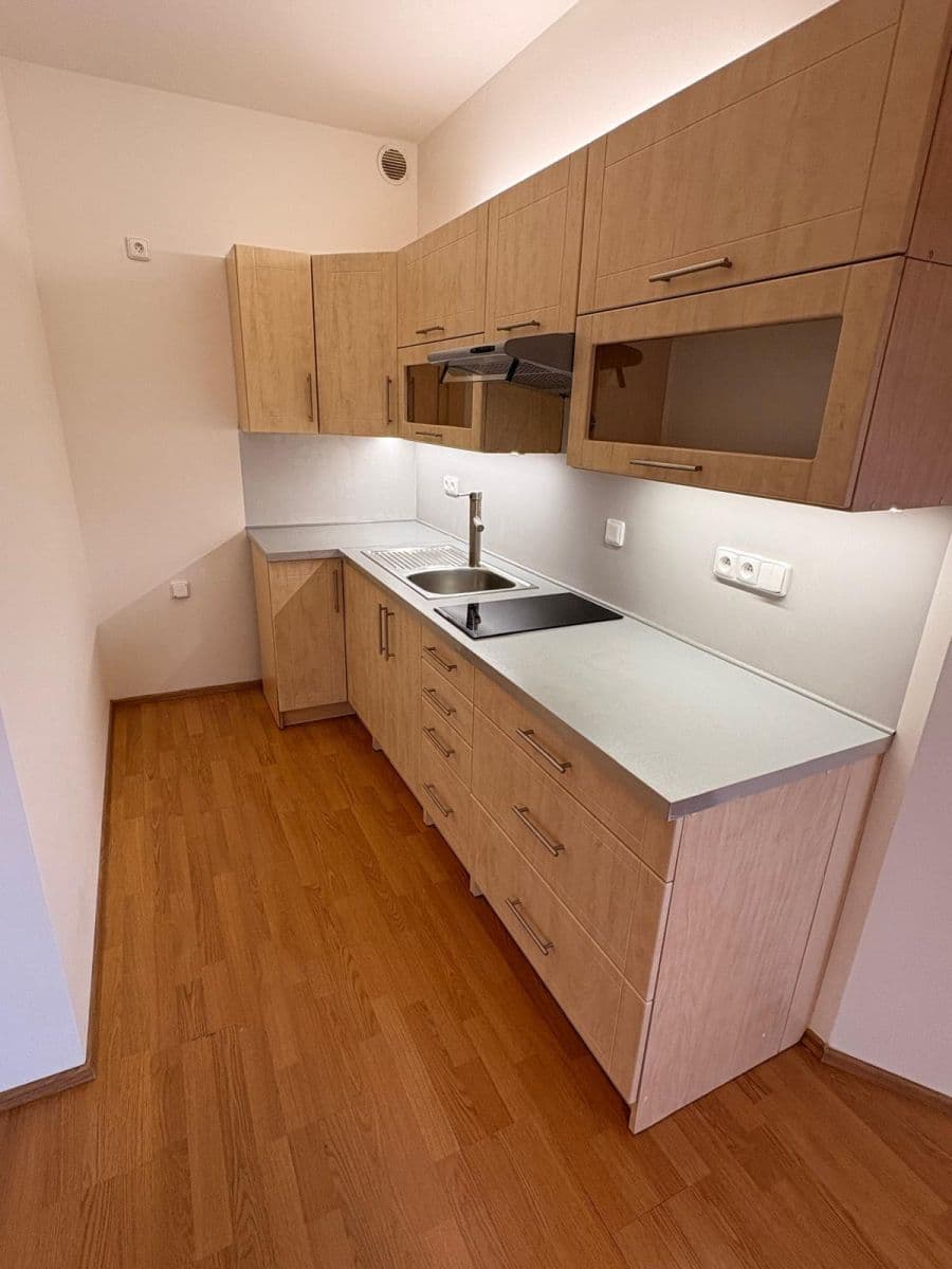 1 bedroom with open-plan kitchen flat to rent, 62 m², Komořanská, Prague, Prague 1 bedroom with open-plan kitchen flat to rent, 62 m², Komořanská, Prague, Prague