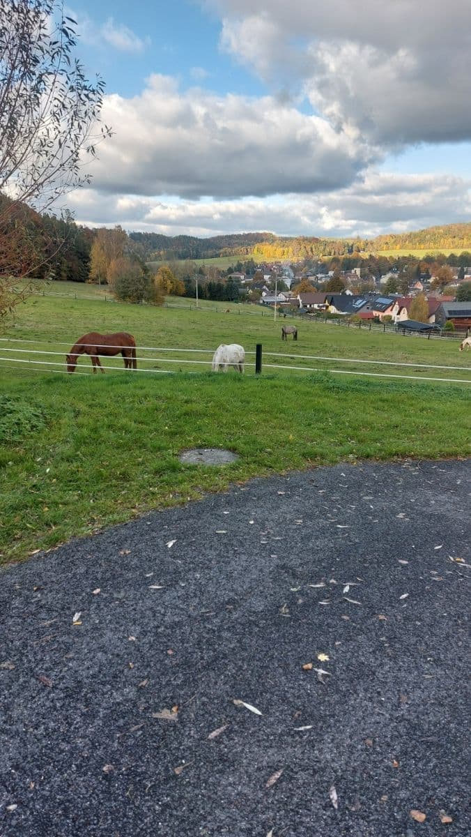 3 bedroom flat to rent, 65 m², Hejnice, Liberecký Region 3 bedroom flat to rent, 65 m², Hejnice, Liberecký Region