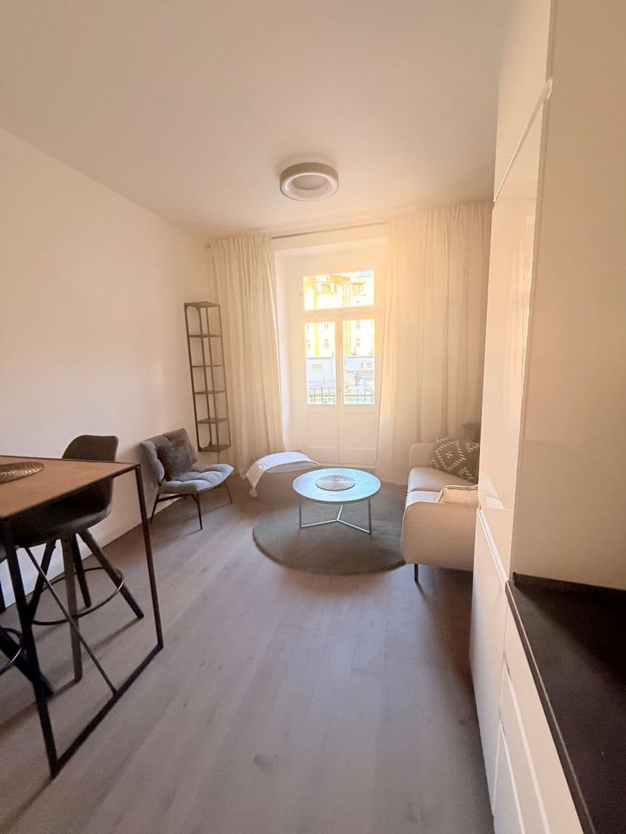 1 bedroom with open-plan kitchen flat to rent, 47 m², Na Spojce, Prague, Prague 1 bedroom with open-plan kitchen flat to rent, 47 m², Na Spojce, Prague, Prague