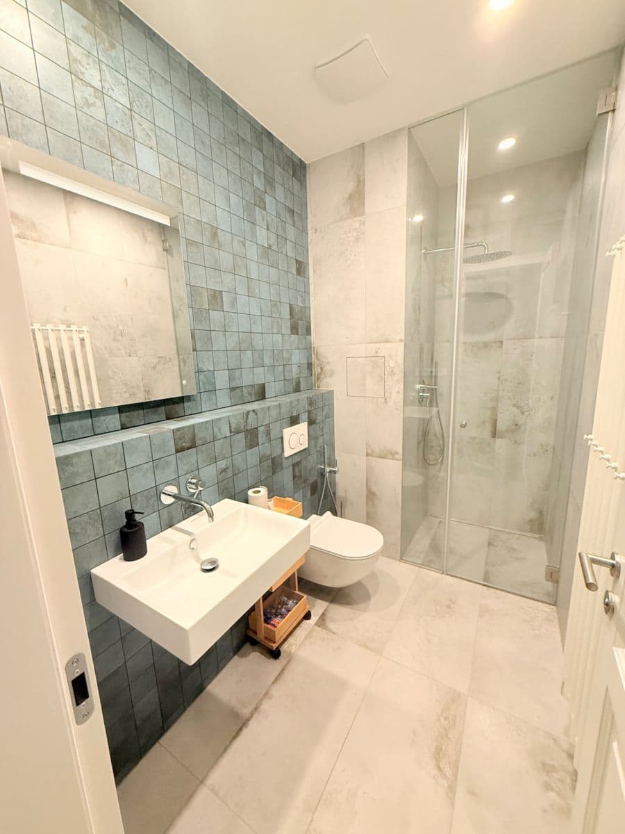 1 bedroom with open-plan kitchen flat to rent, 47 m², Na Spojce, Prague, Prague 1 bedroom with open-plan kitchen flat to rent, 47 m², Na Spojce, Prague, Prague