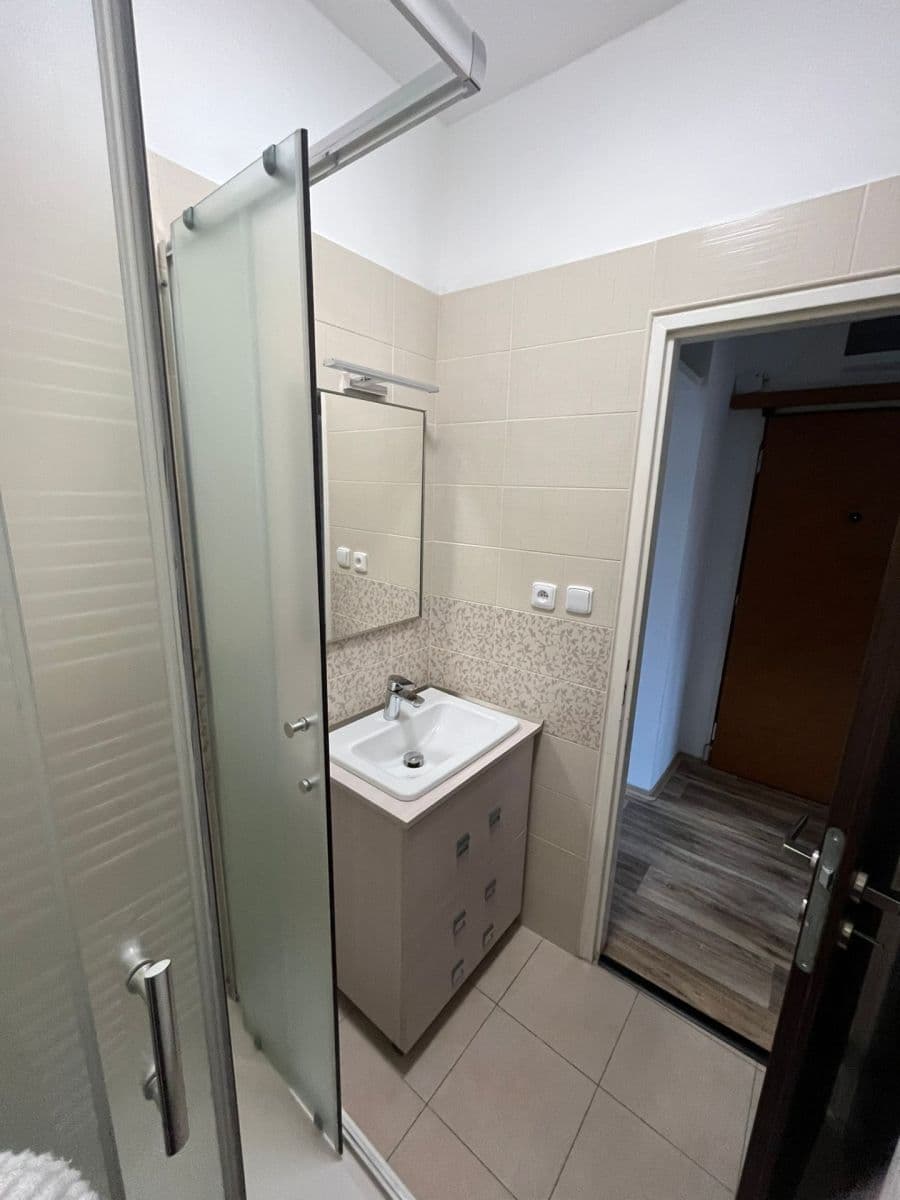 1 bedroom with open-plan kitchen flat to rent, 37 m², Nedvězská, Prague, Prague 1 bedroom with open-plan kitchen flat to rent, 37 m², Nedvězská, Prague, Prague