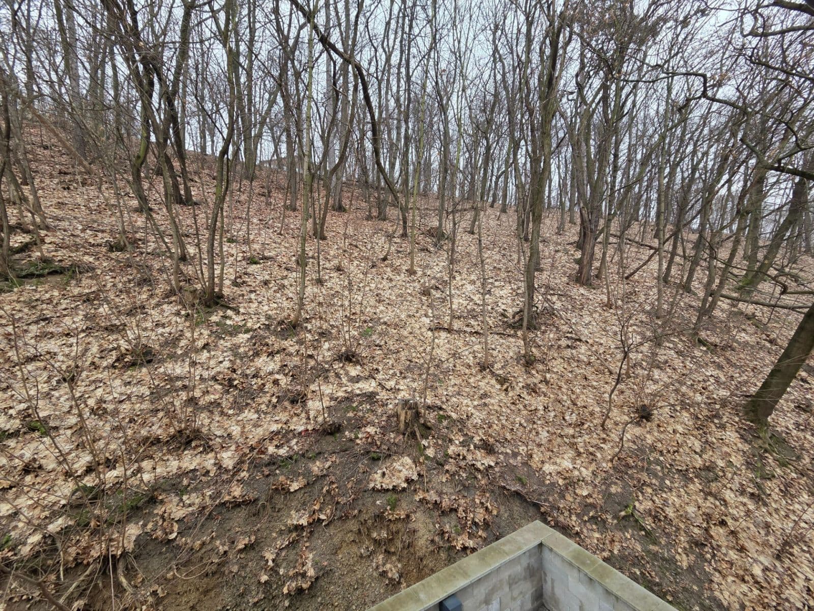 1 bedroom with open-plan kitchen flat to rent, 38 m², Pod Stárkou, Prague, Prague 1 bedroom with open-plan kitchen flat to rent, 38 m², Pod Stárkou, Prague, Prague