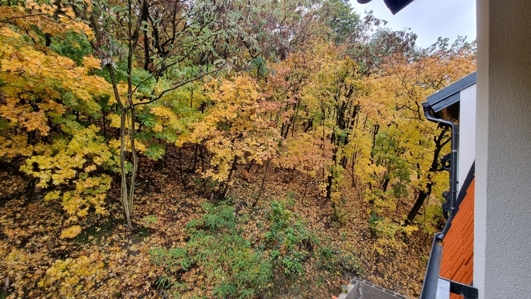 1 bedroom with open-plan kitchen flat to rent, 40 m², Pod Stárkou, Prague, Prague 1 bedroom with open-plan kitchen flat to rent, 40 m², Pod Stárkou, Prague, Prague